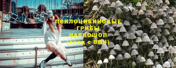 крисы Балахна